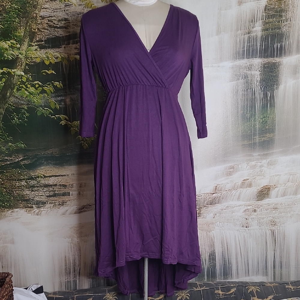NWT! Womens Large deep purple high waist silhouette flowy hi lo Vneck dress